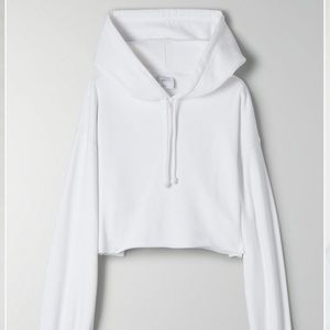 Aritzia Cropped Hoodie
